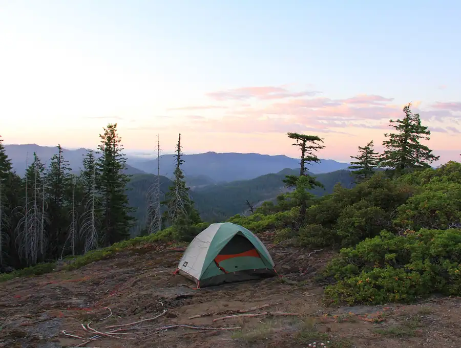 A quiet campsite among evergreens on the Muskoka lakes